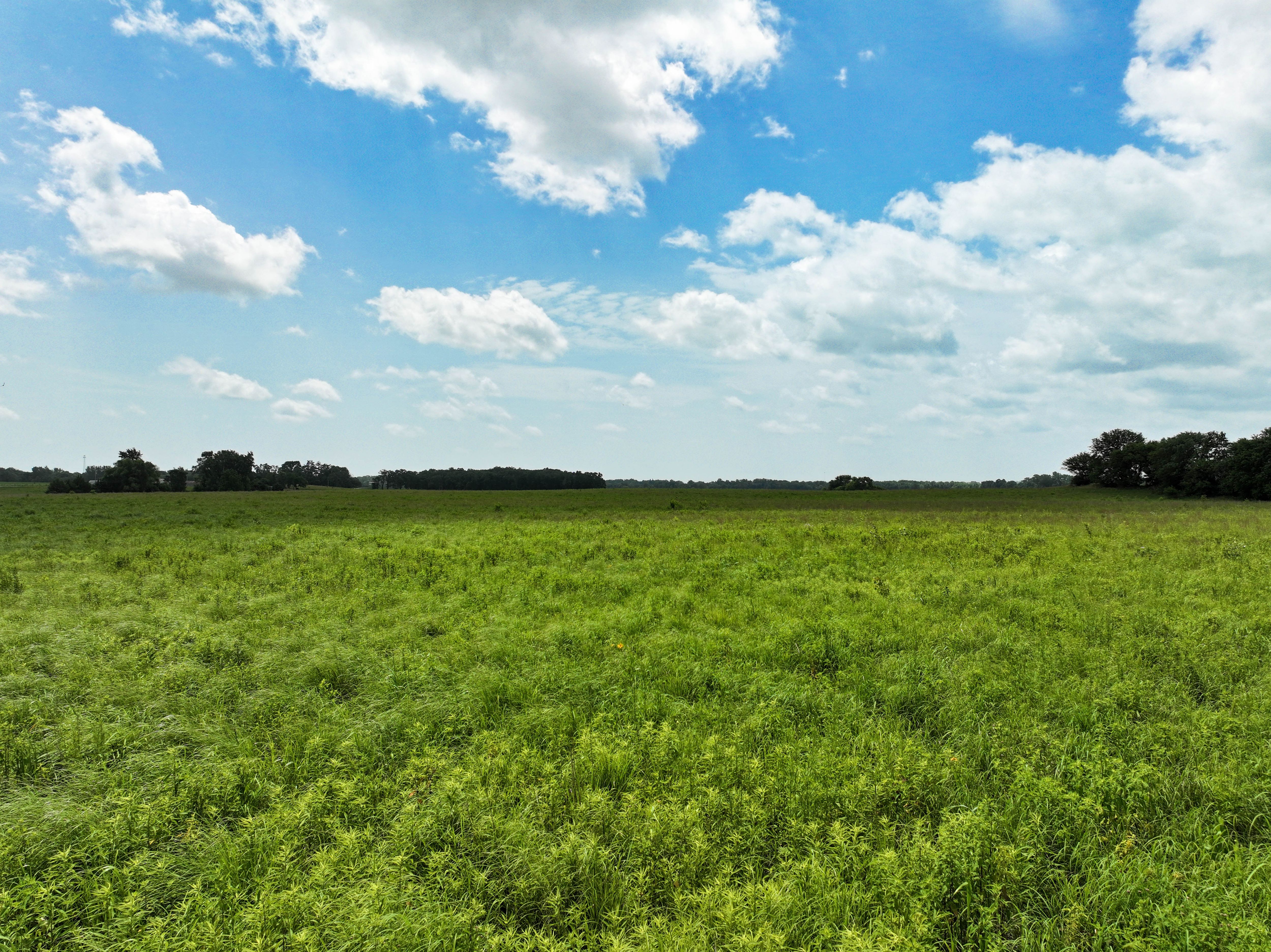 Listing Photo: 10_Troy Mills Farmland For Sale